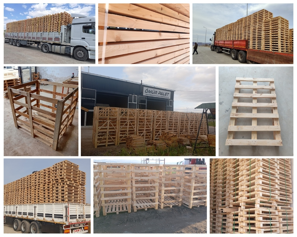 Rottingdean Wooden Pallets, Buy Wooden Pallets Wholesale